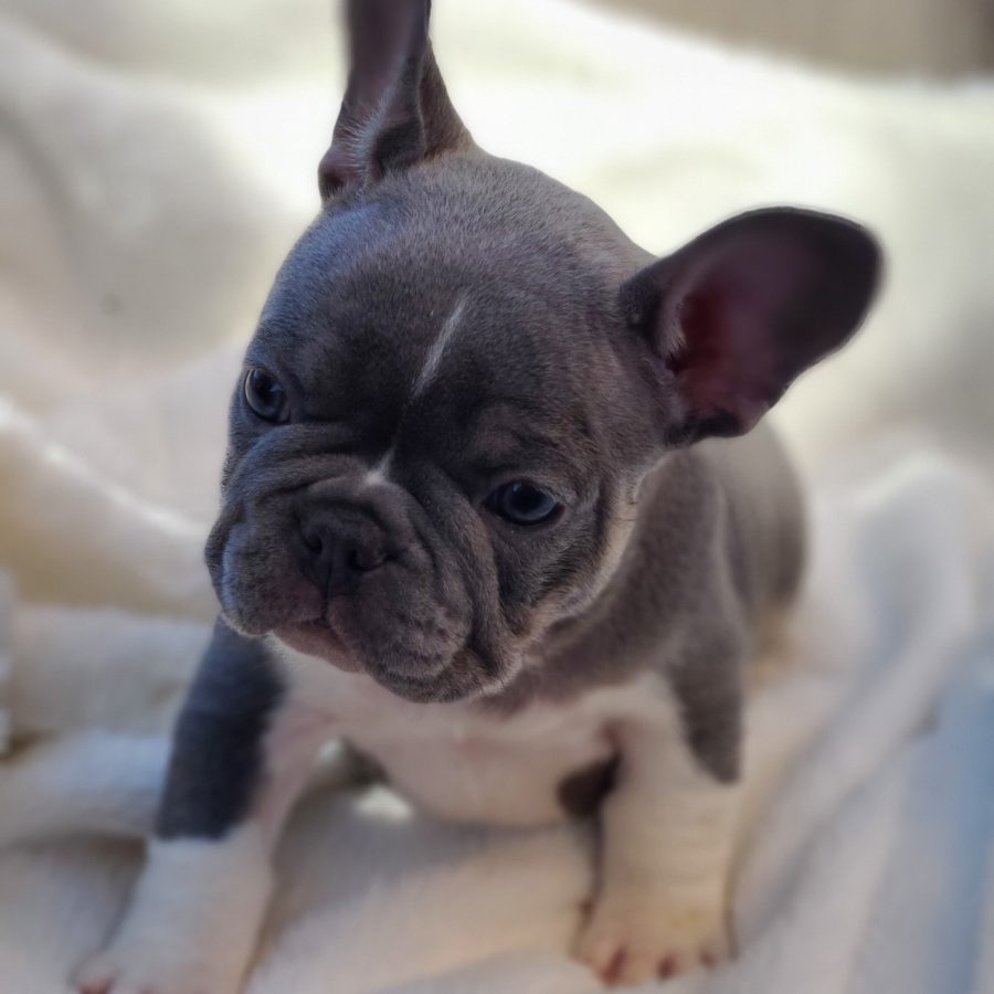 20230827_161134_edited