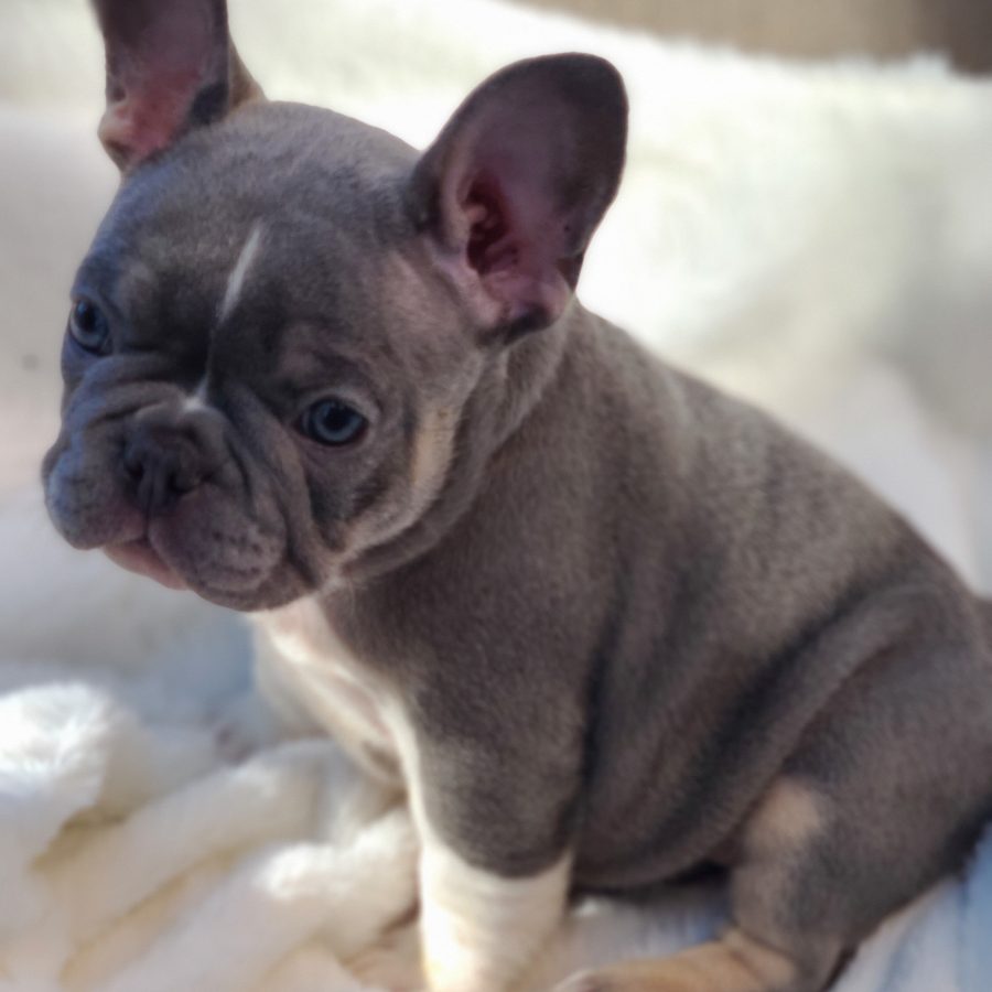 20230827_161151_edited