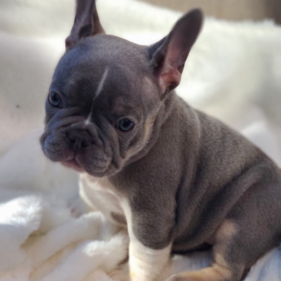 20230827_161152_edited